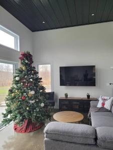 a living room with a christmas tree and a couch at Chalet Elizée & Spa in St-Ferdinand