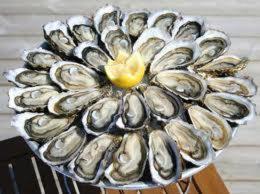 un montón de ostras en un tazón en un banco en Les Gîtes Cancalais, en Cancale