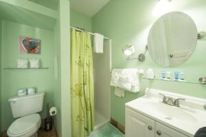 a bathroom with a toilet and a sink and a mirror at The Speakeasy Inn and Rum Bar in Key West