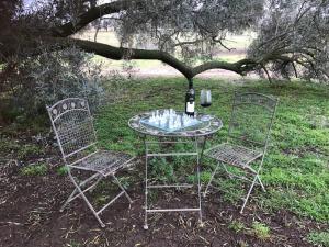 The Shearing Shed - Boutique Farm Stay外面的花园