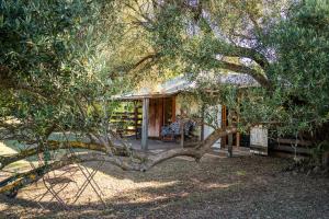 The Shearing Shed - Boutique Farm Stay外面的花园