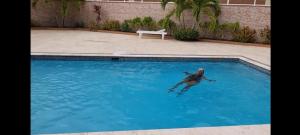 a man is swimming in a swimming pool at Komfort Getaway Villa at Countrymist in Ocho Rios
