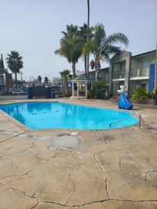 a large blue swimming pool with palm trees at Motel 6 Vallejo, CA - Napa Valley in Vallejo