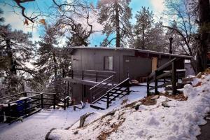 冬天的Updated Mountain Cabin Retreat with 180 views off Deck and Balcony