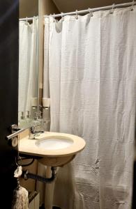 baño con lavabo y cortina de ducha en deanfunes home en Salta