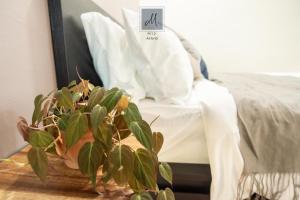 um vaso de planta sentado numa mesa ao lado de uma cama em M12 Homestay, Butterworth em Butterworth