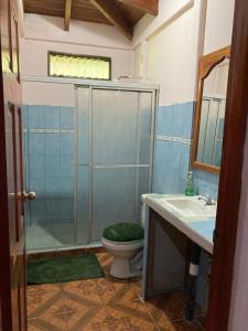 a bathroom with a shower and a toilet and a sink at Betania House in Drake