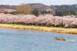 Hotel City Plaza Kitakami في كيتاكامي: مجموعة من الناس في قارب على نهر مع أشجار الكرز
