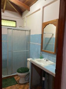 a bathroom with a toilet and a sink and a mirror at Betania House in Drake