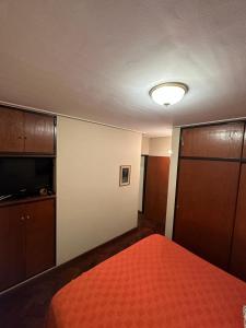 ein Schlafzimmer mit einem Bett, einem Schrank und einem TV in der Unterkunft Departamento temporario Maipú 700, Barrio Norte in San Miguel de Tucumán