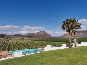 a swimming pool in the middle of a field of vines at DuVon Farmhouse in Robertson