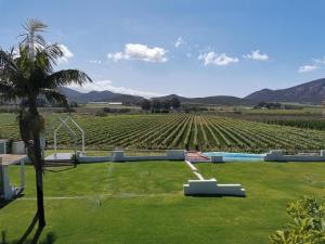 a field with a palm tree and a view of a vineyard at DuVon Farmhouse in Robertson