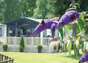 a bunch of purple flowers in front of a house at Fir Trees in Chester