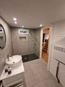 uma casa de banho com um lavatório e um chuveiro em Huisje in Pieterburen em Pieterburen