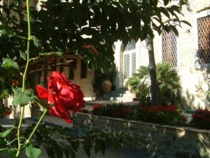 Zahrada ubytování Hotel Il Cavalier D'Arpino