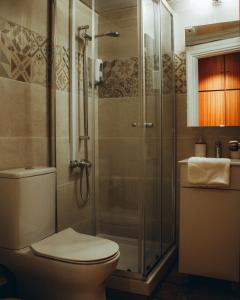 a bathroom with a toilet and a glass shower at Kallithea INN in Platres