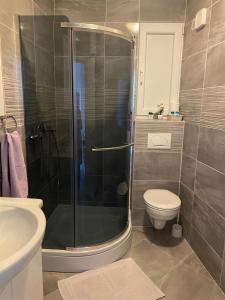 ein Bad mit einer Dusche, einem WC und einem Waschbecken in der Unterkunft Apartments Dalia House in Hvar
