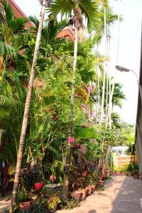 Ảnh trong thư viện ảnh của Bou Savy Guesthouse ở Siem Reap +61 ảnh