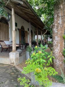 Κήπος έξω από το Lali Villa & Fruit Garden