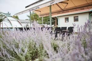 Vonkajšia záhrada v ubytovaní Aquasol Resort