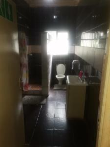 a bathroom with a toilet and a sink and a window at New Dawn Guest House in Brakpan
