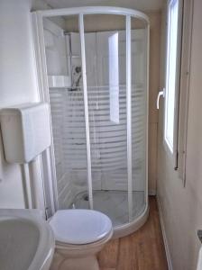 uma casa de banho com um chuveiro, um WC e um lavatório. em Villaggio Turistico Il Lago Dorato em Carlazzo