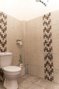a bathroom with a toilet and a shower at SpringStone Studio Apartment Rm 19 in Langata Rongai