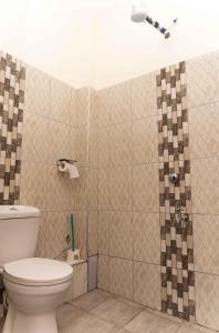 a bathroom with a toilet and a shower at SpringStone Studio Apartment Rm 19 in Langata Rongai
