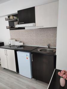 una cucina con lavello e frigorifero di Sophia Central Studio a Iaşi