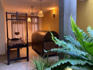 a room with a bed and a green plant at Handagedara Resort & Spa in Mirissa