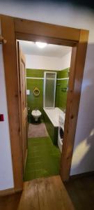 een groene badkamer met een bad, een toilet en een wastafel bij Chalet La Stua in Cavalese