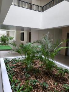 a courtyard with palm trees in a building at Elegant 1-bedroom apartment with close amenities in Quatre Bornes