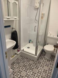 uma pequena casa de banho com chuveiro e WC em Quirky one bed flat, Barbican area, Plymouth em Plymouth