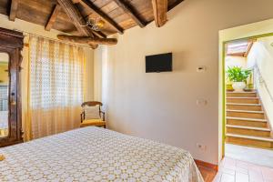 1 dormitorio con 1 cama y TV en la pared en Melograni 7, en Molazzana