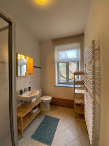 ドレスデンにあるApartments Dresden Neustadt Apartment KATYのバスルーム(洗面台、トイレ付)、窓が備わります。