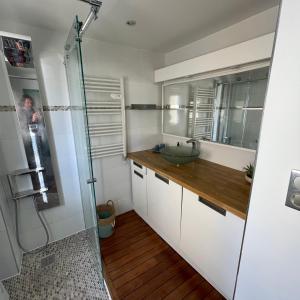 W łazience znajduje się umywalka i przeszklony prysznic. w obiekcie Le Petit Pinson Meerblick Port Golfe Juan w mieście Vallauris