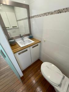 a bathroom with a toilet and a sink at Le Petit Pinson Meerblick Port Golfe Juan in Vallauris
