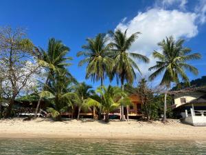 a group of palm trees on the beach at Wish Bungalow in Koh Samui 