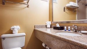 Quality Inn & Suites East Syracuse - Carrier Circle的一间浴室