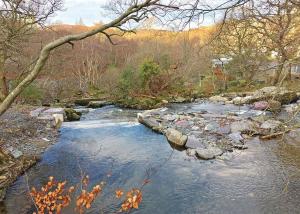 a stream of water with rocks in a forest at Ogwen Bank Caravan And Lodge Park in Bethesda