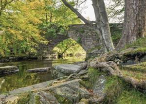 uma velha ponte de pedra sobre um rio num parque em Ogwen Bank Caravan And Lodge Park em Bethesda
