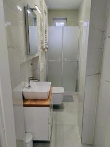 a white bathroom with a sink and a shower at S15 Studio Apartment FREE PARKING in Zagreb