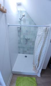 bagno con doccia e tappeto verde di LE NID DE BATZ SUR MER-Studio-Les Gîtes de la Côte d'Amour a Batz-sur-Mer