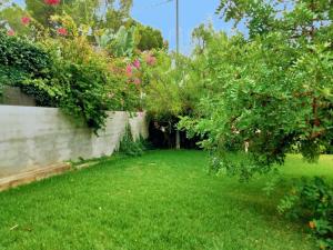 Vonkajšia záhrada v ubytovaní Villa 56