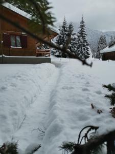 a snow covered path in front of a cabin at Cabana Fantanita cu Brazi in Poiana Brasov