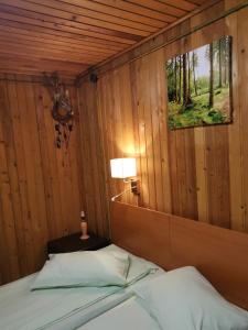 - une chambre avec un lit dans une pièce dotée de murs en bois dans l'établissement Cabana Fantanita cu Brazi, à Poiana Brasov