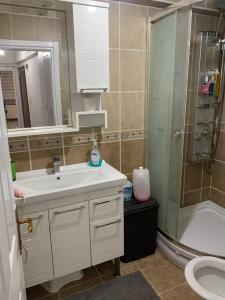 ein Bad mit einem Waschbecken, einer Dusche und einem WC in der Unterkunft 2 bedroom 5 bed peaceful calm full kitchen,all items available Luxury And relax in Istanbul