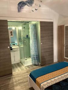 Ένα μπάνιο στο Charmant logement avec jardin privatif à la campagne
