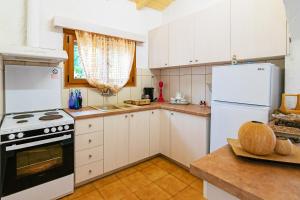 Kuchyň nebo kuchyňský kout v ubytování Gal House