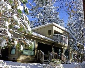 Sparrow's Nest home talvel